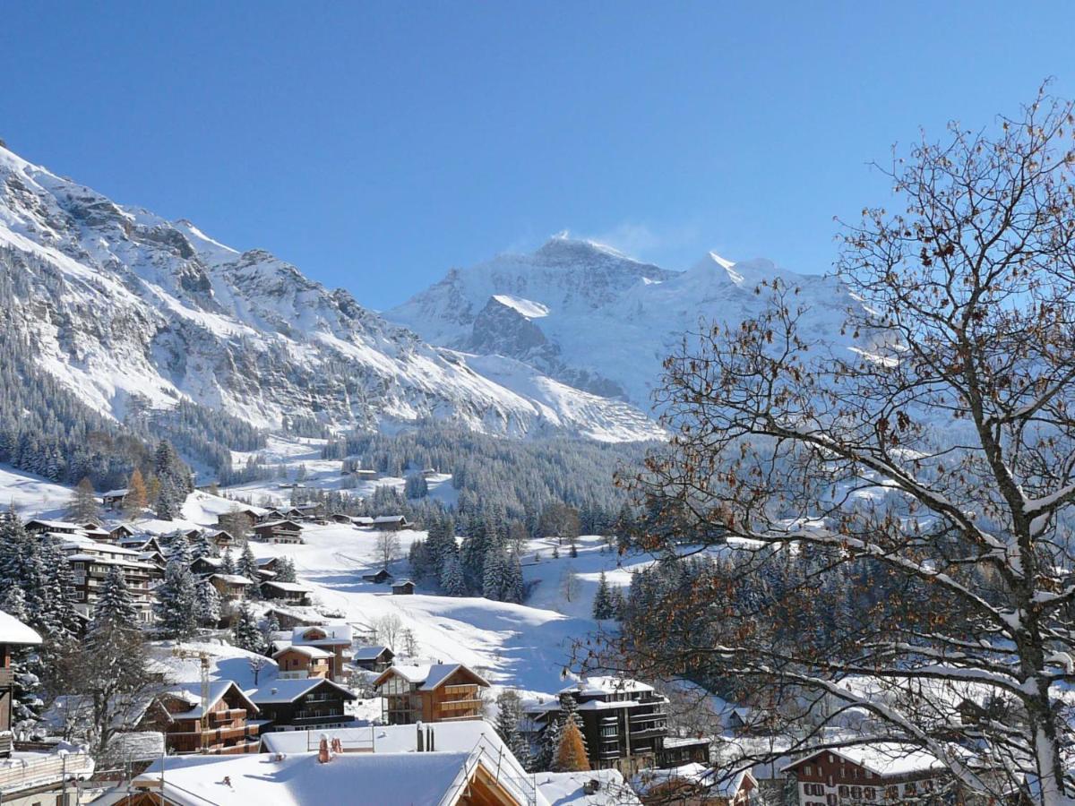 Primula By Interhome Appartement Wengen