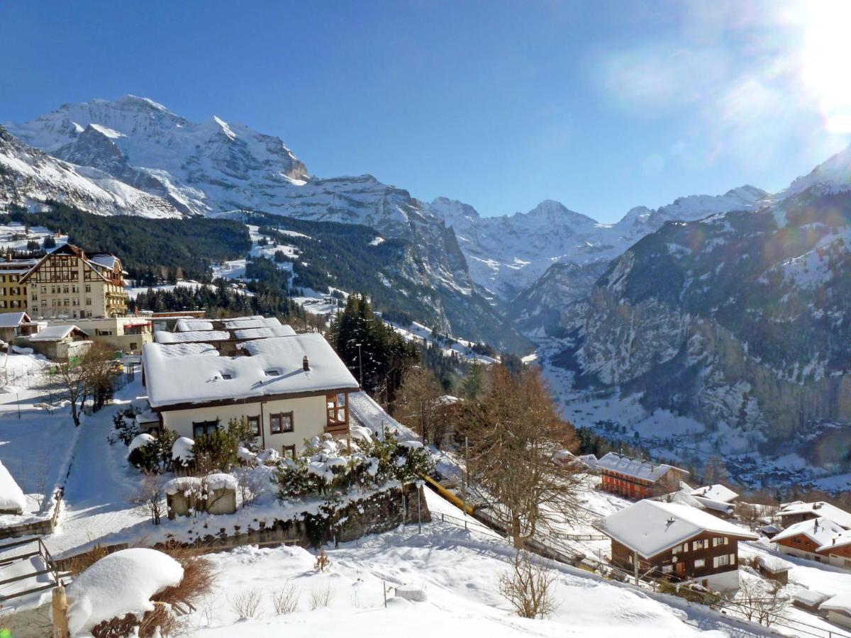 Apartment Primula Wengen